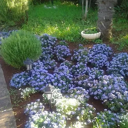 Porec Luxury Гостевой дом 3*