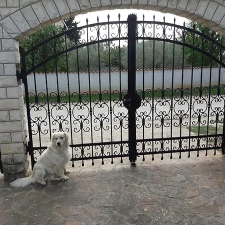 Gostinjska kuća Porec Luxury 3*