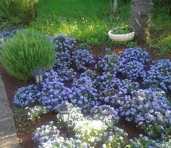 Porec Luxury Gostinjska kuća 3*